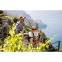 Распылитель Stihl SR 450