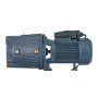 Поверхностный насос UNIPUMP JSW 55 (32583)