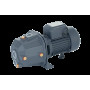 Поверхностный насос UNIPUMP DP-750 (13056)