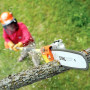 Высоторез STIHL HT-103